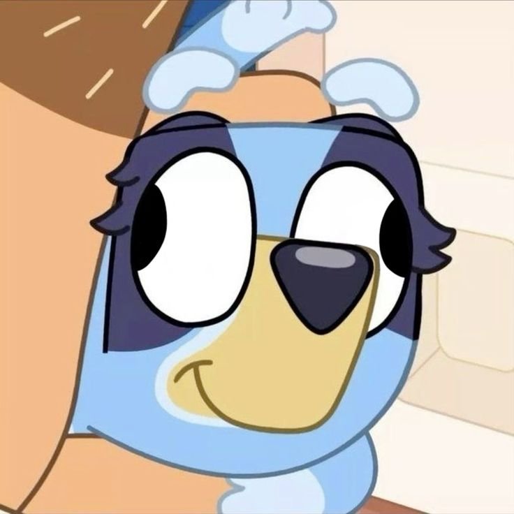Bluey Pfp Meme