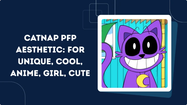 Catnap PFP