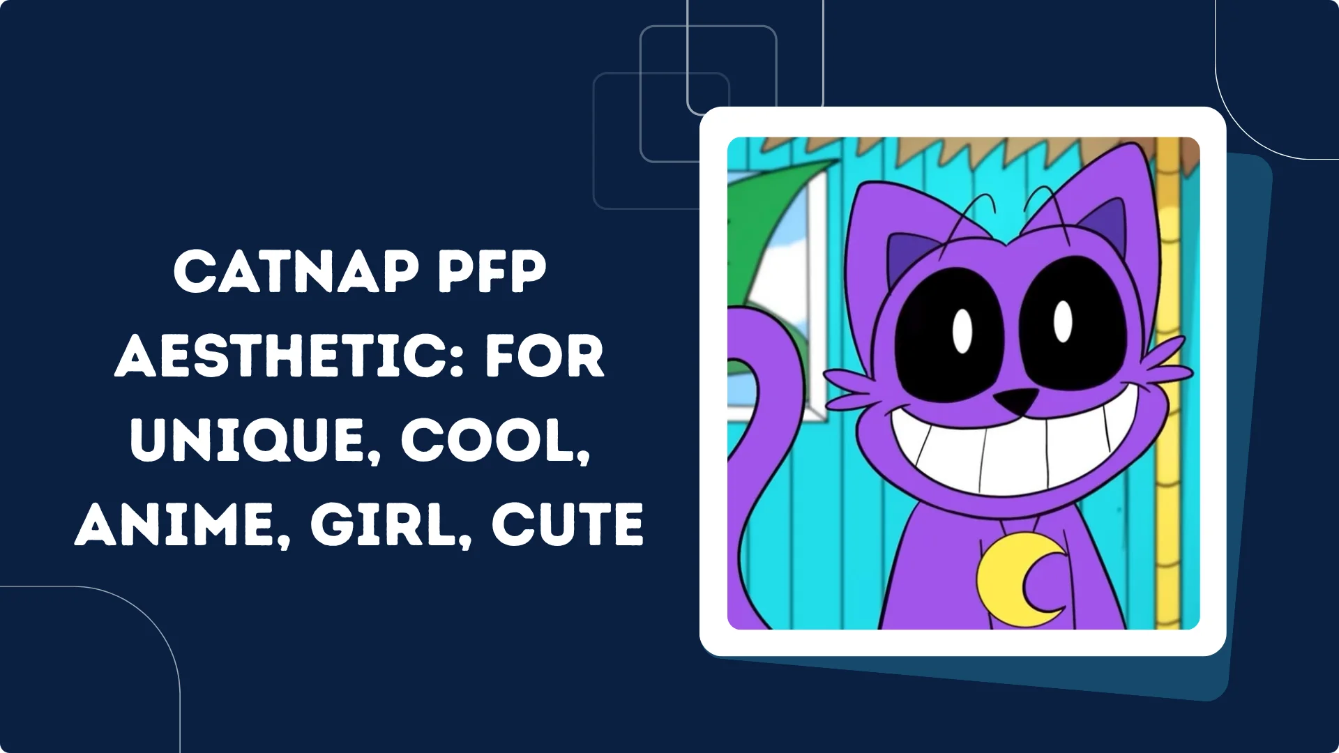 Catnap PFP
