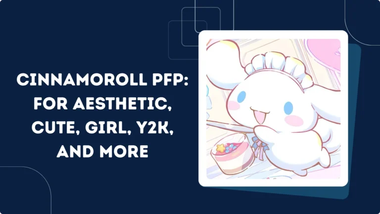 Cinnamoroll PFP