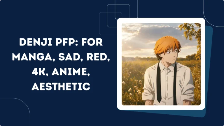 Denji Pfp
