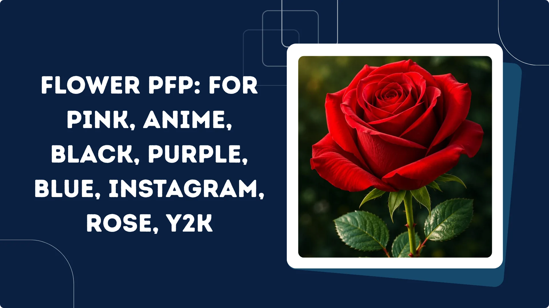 Flower PFP