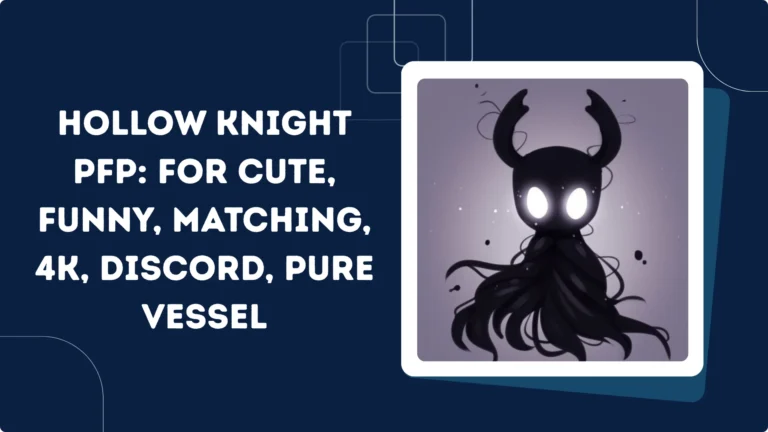 Hollow Knight PFP