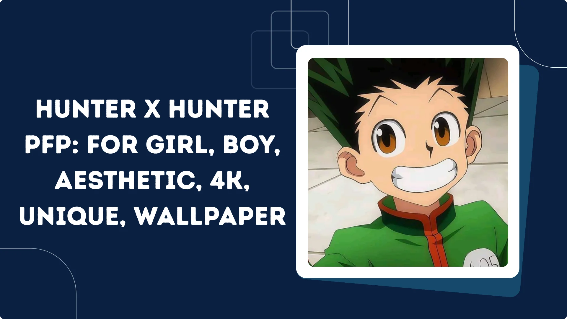 Hunter x Hunter PFP