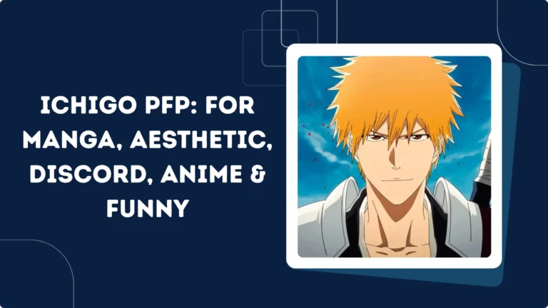 Ichigo PFP