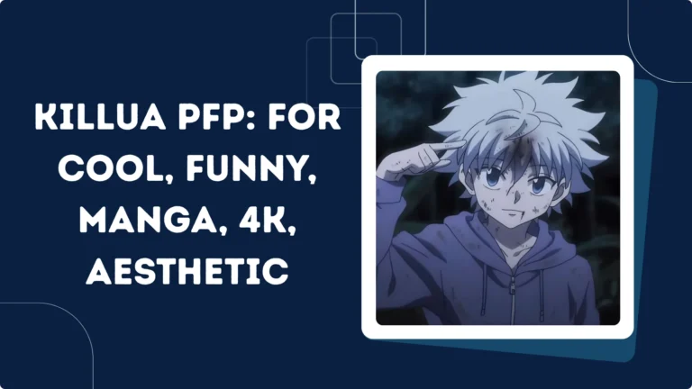 240 Killua PFP: For Cool, Funny, Manga, 4k, Aesthetic, Anime, Unique & More