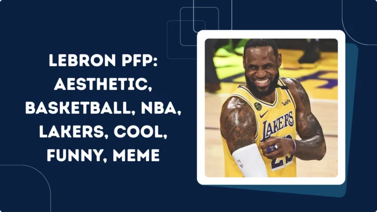 LeBron PFP