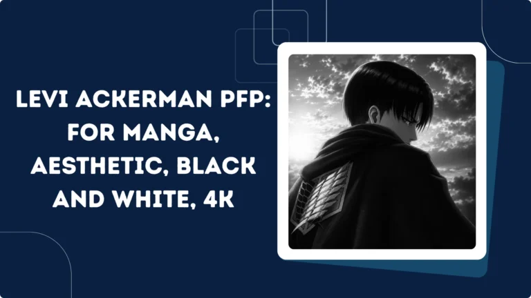 Levi Ackerman Pfp