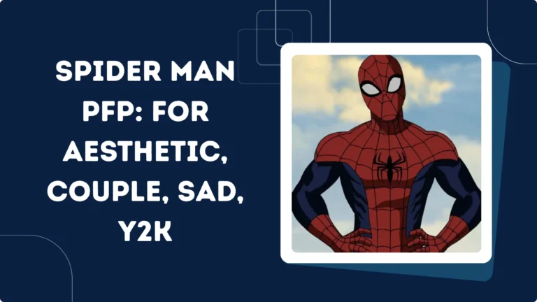 Spider Man Pfp