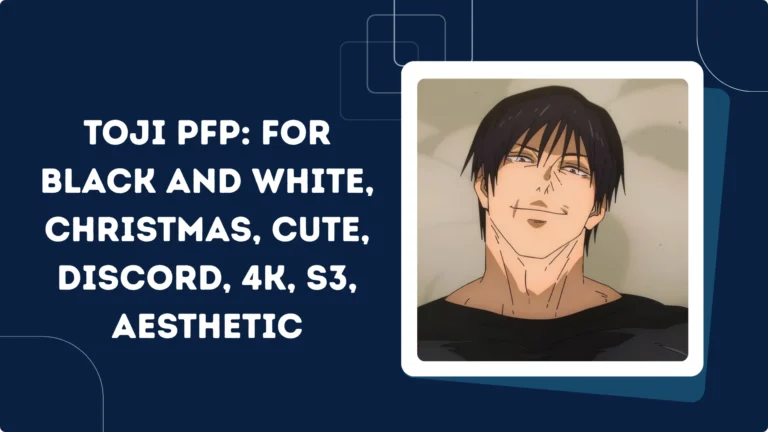 Toji PFP