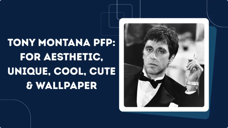 Tony Montana PFP