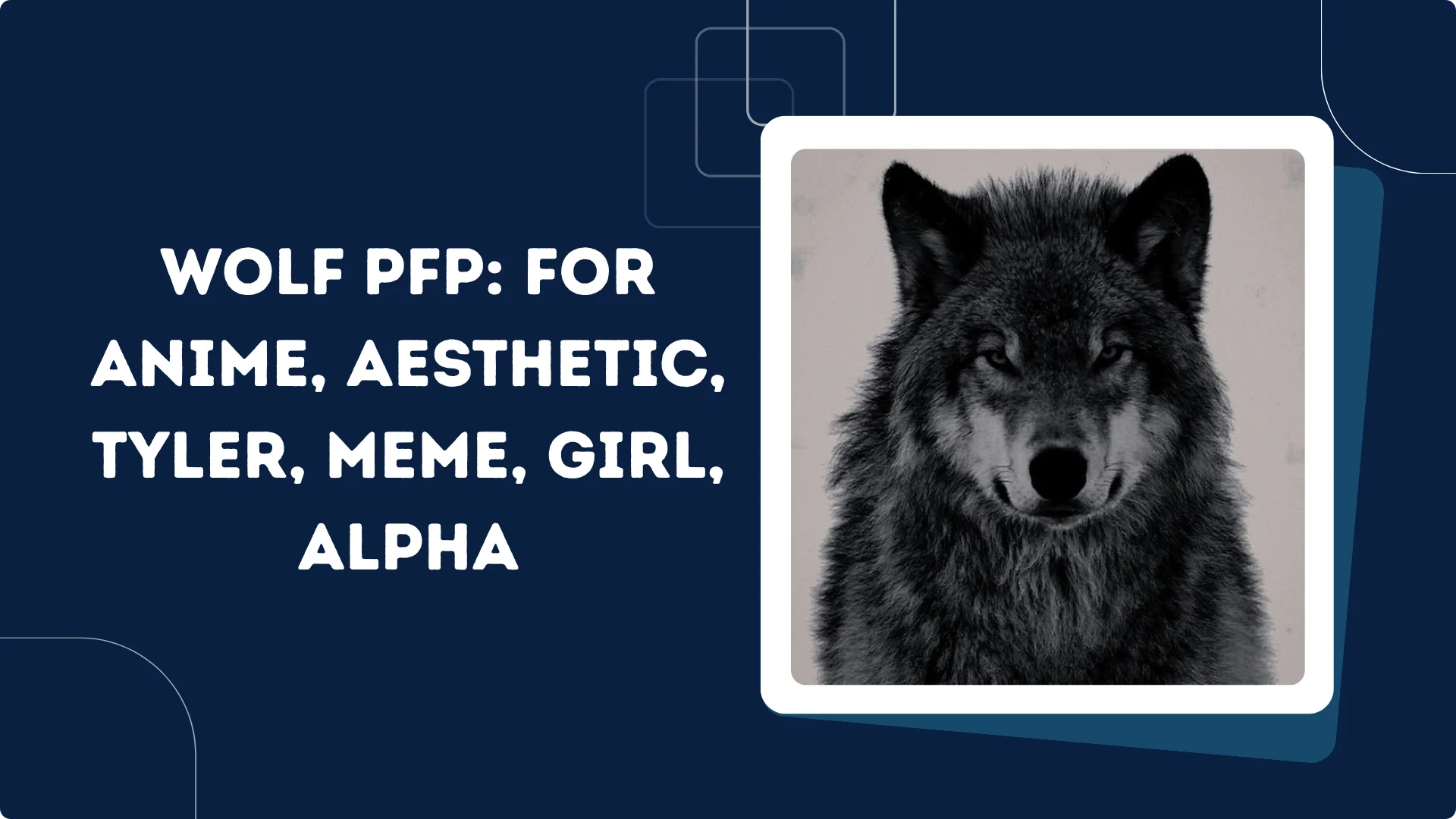 Wolf Pfp