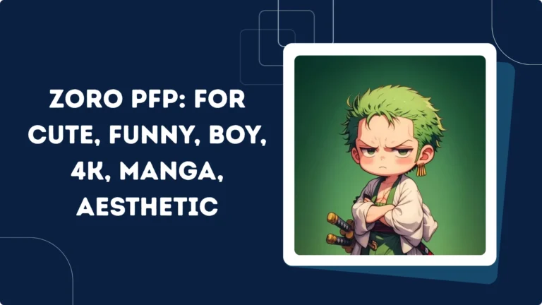 Zoro PFP