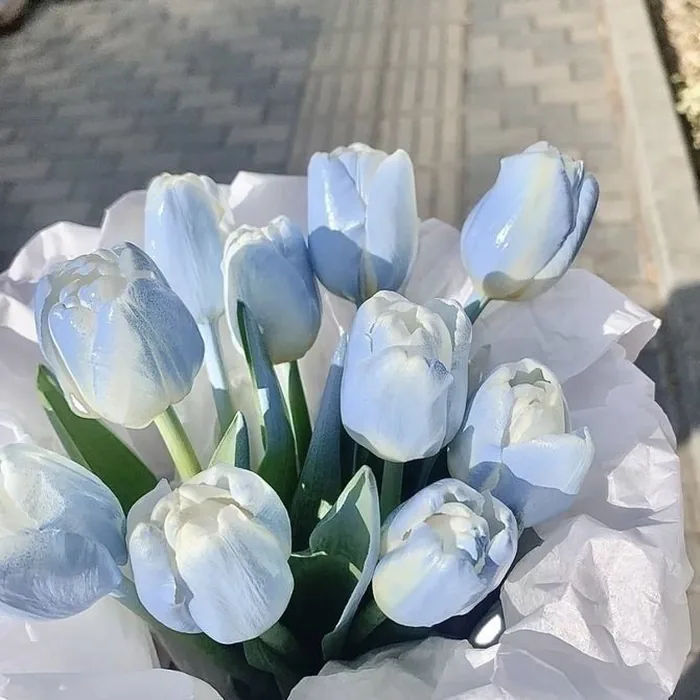 Aesthetic Blue Flower PFP