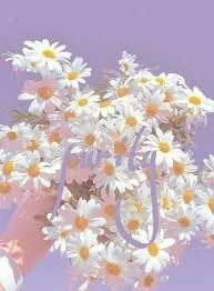 Aesthetic Flower PFP Pinterest