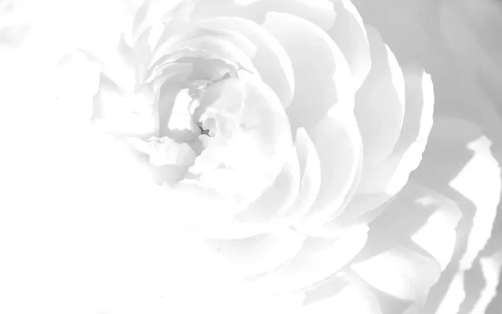 Flower PFP
