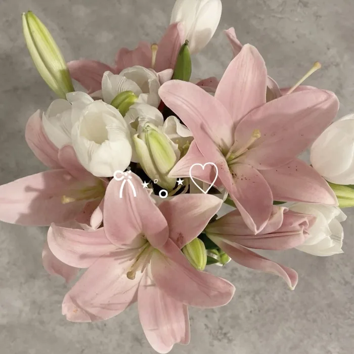 Aesthetic Flower Pictures For Instagram