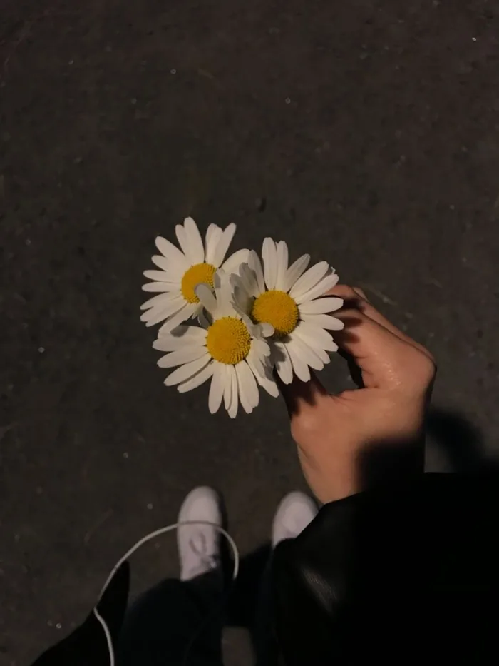 Aesthetic Flower Wallpaper 4K
