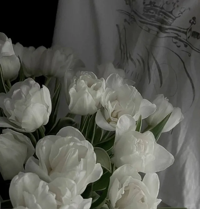 Aesthetic White Flower PFP