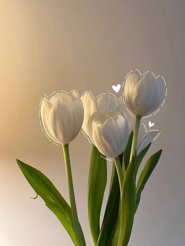Aesthetic White Flower PFP