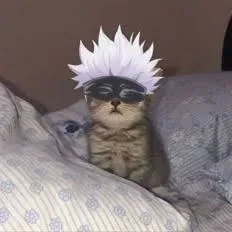 Cat Gojo Pfp