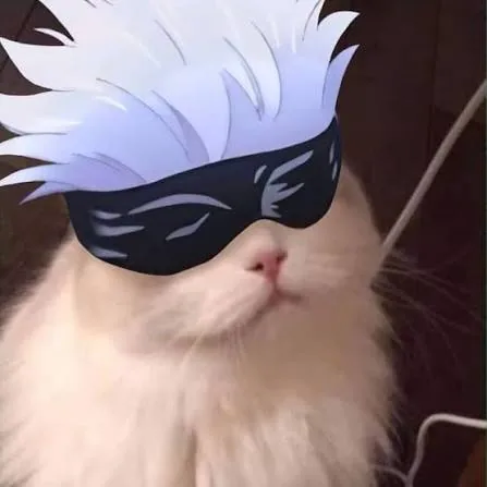 Cat Gojo Pfp