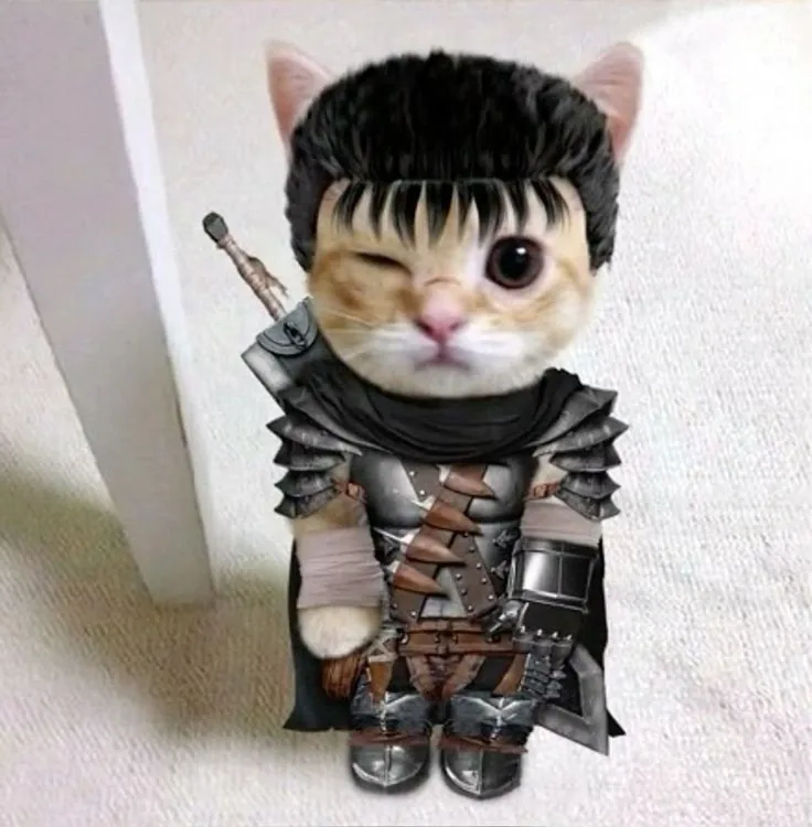 Cat Guts PFP
