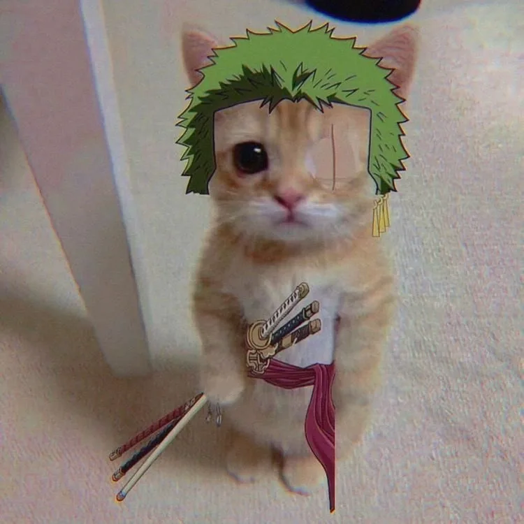 Cat Zoro PFP