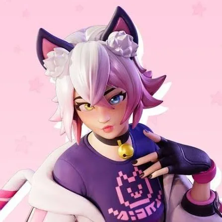 Chani Fortnite PFP