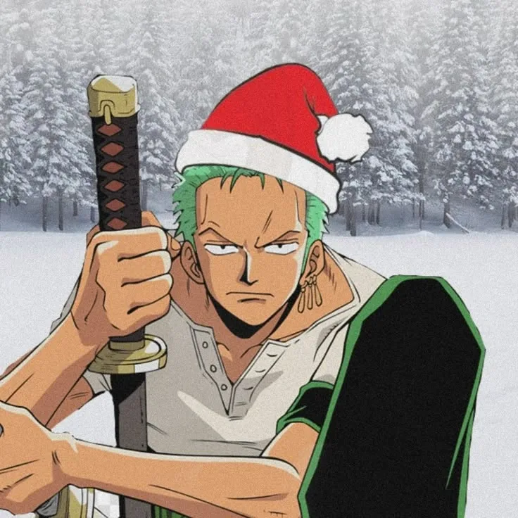 Christmas Zoro PFP