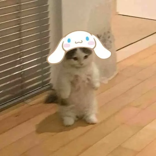 Cinnamoroll Wallpaper