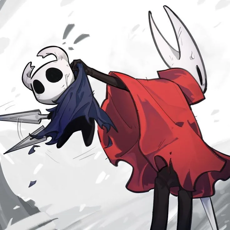 Cool Hollow Knight PFP