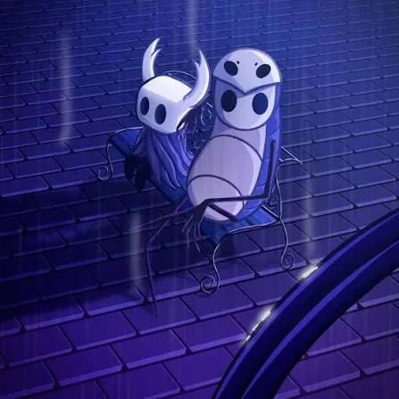 Cool Hollow Knight PFP