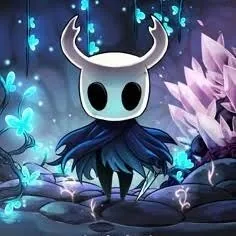 Cool Hollow Knight PFP