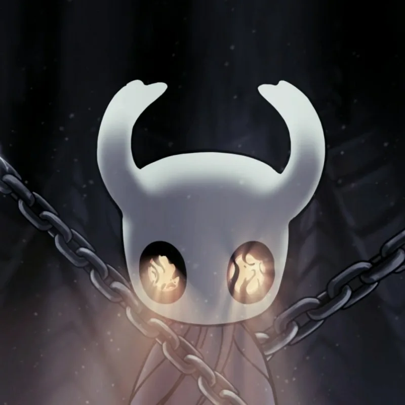 Cool Hollow Knight PFP