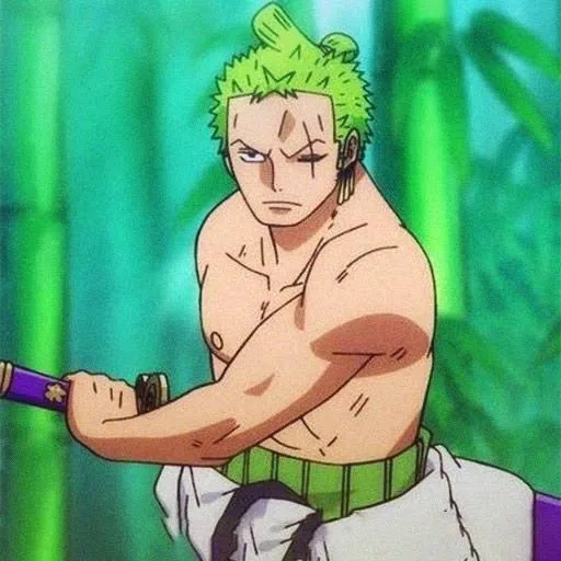 Cool Zoro PFP