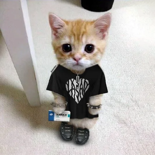 Cute Cat Pfp Emo