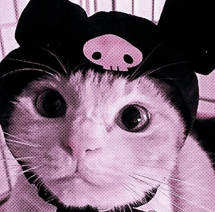Cute Cat Pfp Emo