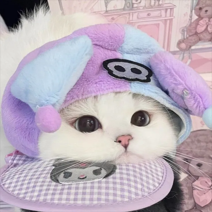 Cute Kuromi Cat PFP