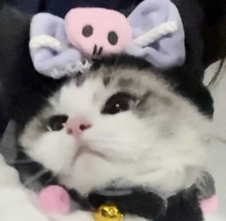 Cute Kuromi Cat PFP