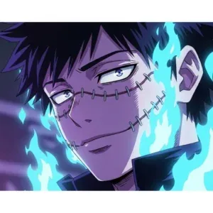 Dabi Aesthetic Profile Pictures