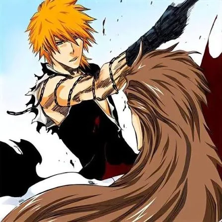 Dangai Ichigo PFP