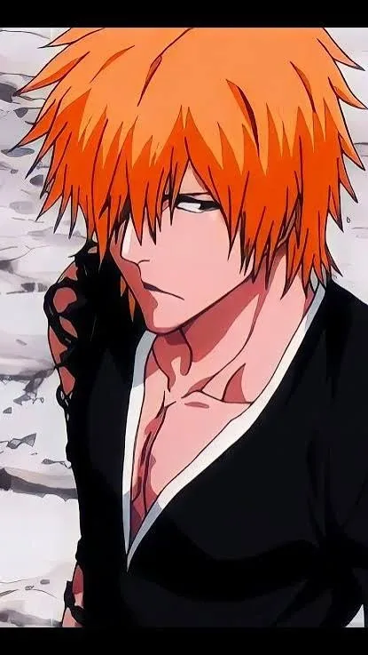 Dangai Ichigo PFP