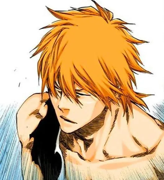 Dangai Ichigo PFP