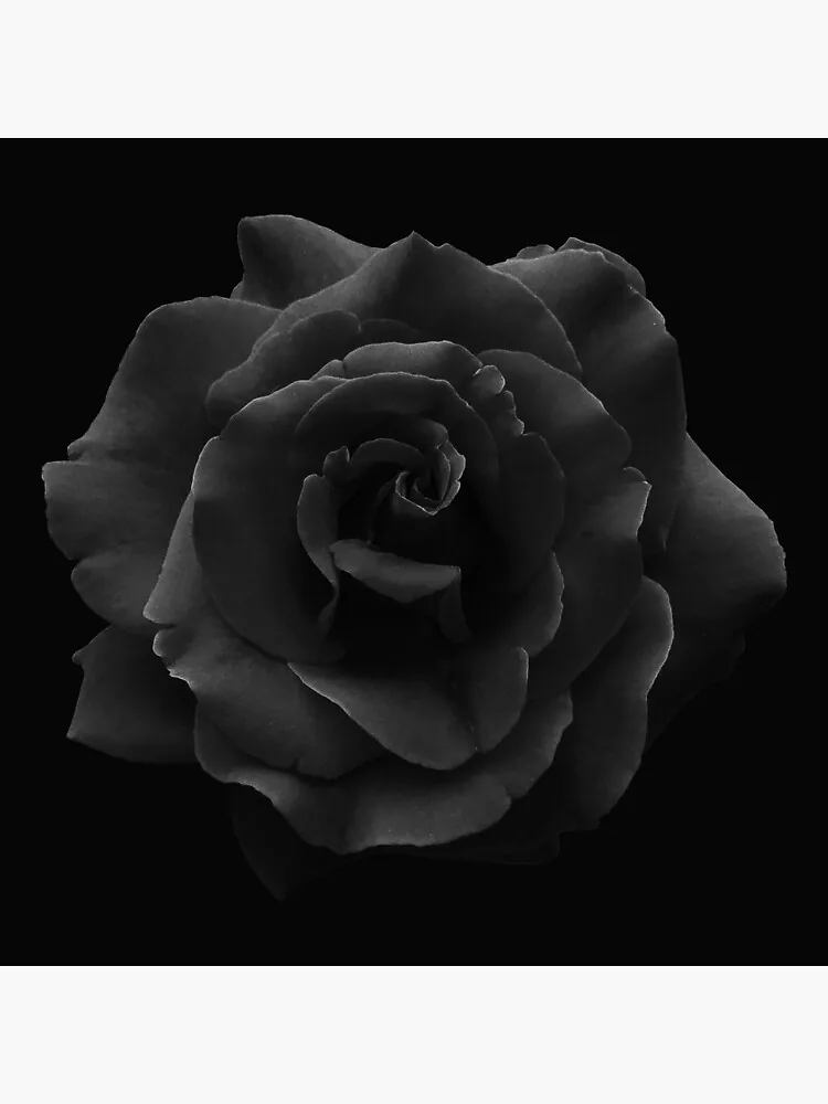 Dark Aesthetic Flower PFP