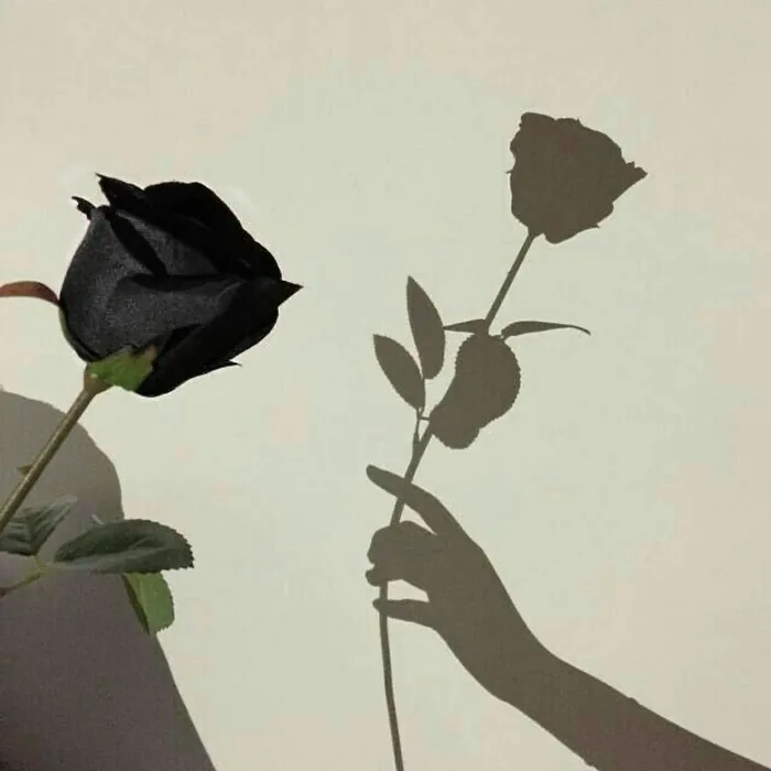 Dark Aesthetic Flower PFP