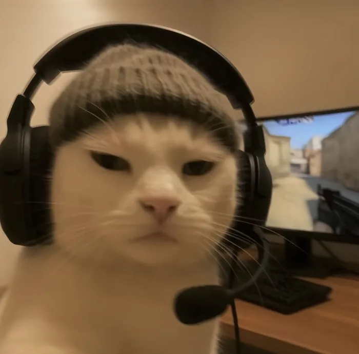 Discord PFP
