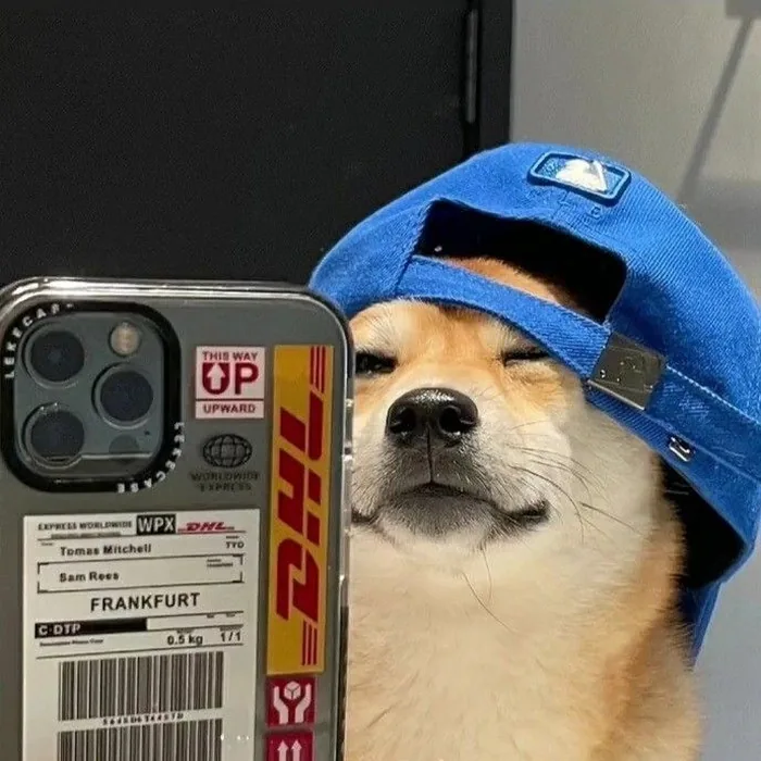 Discord PFP Funny