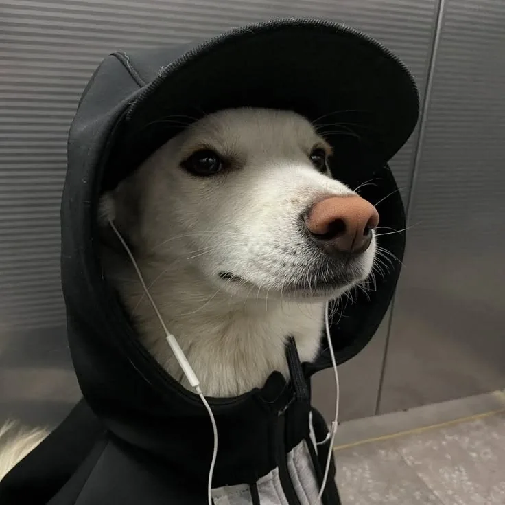Discord PFP