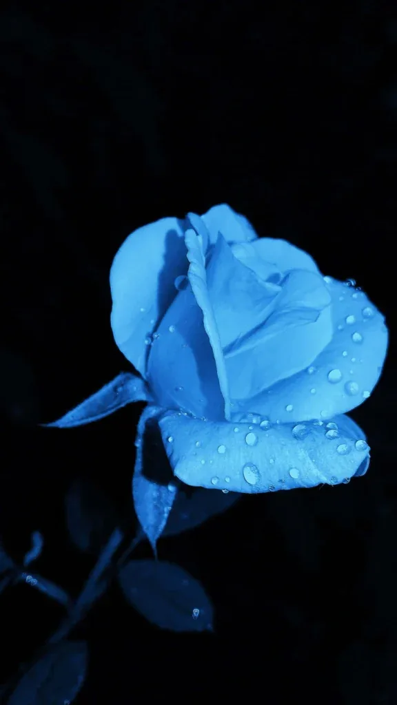 Flower PFP Blue
